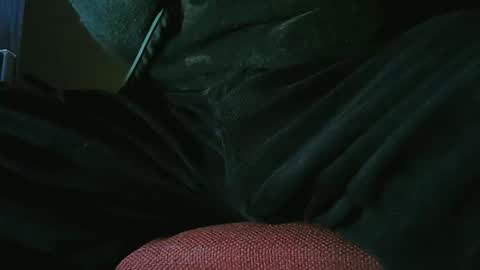 grapefruit online show from October 2025 08:03:01 AM