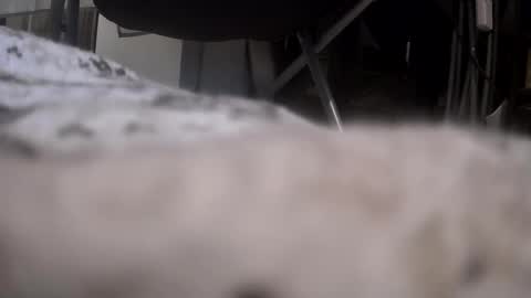 Get US to 1000 you wont be disapointed online show from January 2026 12:15:01 AM