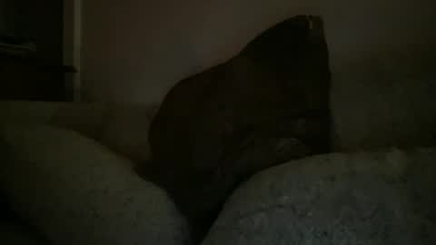 Snapshot of greenlova chatting on December 2024 02:35:02 AM Sonny online show from December 2024 02:35:02 AM