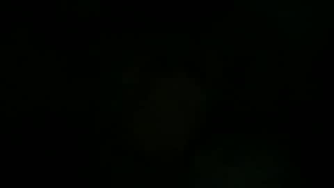 Snapshot of greenlova chatting on September 2025 07:24:02 AM Sonny online show from September 2025 07:24:02 AM