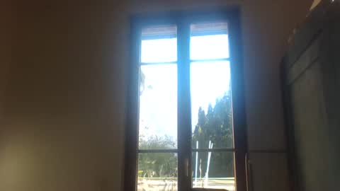 Greenmoon online show from December 2024 11:45:02 AM