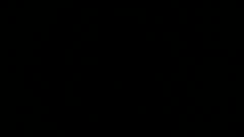       2 online show from December 2024 03:04:02 PM