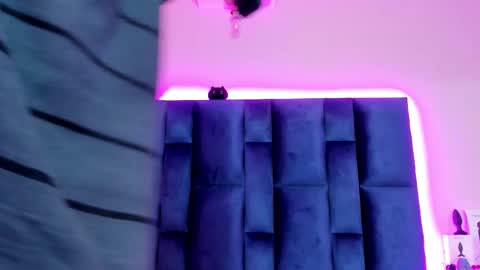 Grisha online show from February 2026 12:12:01 PM