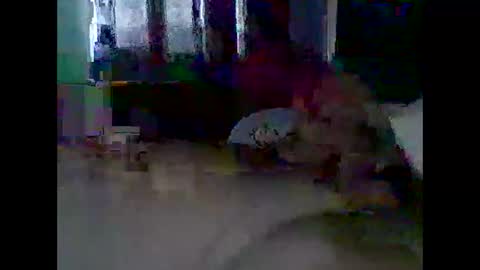 grittslappa online show from November 2025 12:21:01 AM