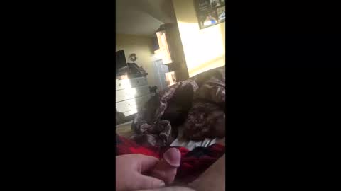 Snapshot of grizzely1975 chatting on November 2025 02:27:02 PM grizzely1975 online show from November 2025 02:27:02 PM