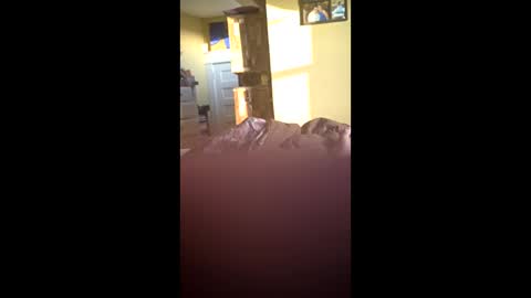 Snapshot of grizzely1975 chatting on November 2025 02:06:02 PM grizzely1975 online show from November 2025 02:06:02 PM