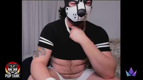 Alpha pup online show from December 2025 05:55:02 AM