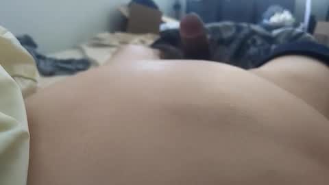 growingcubbear online show from February 2026 03:54:01 PM