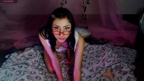 Hachi 3 online show from July 2026 05:02:01 AM