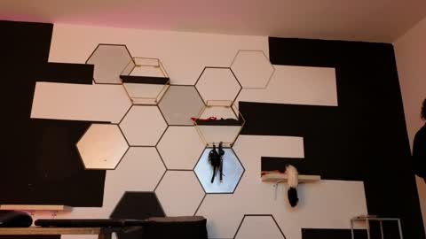 haileycat_ online show from February 2025 02:33:01 AM