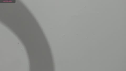 Hailey online show from March 2026 11:00:02 PM