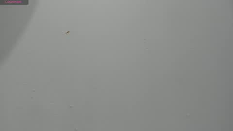 Hailey online show from April 2026 11:57:01 PM