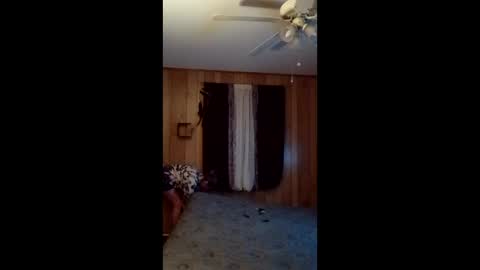 hailstorm32 online show from February 2026 11:19:02 AM