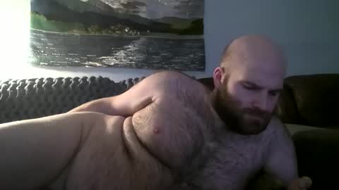 Snapshot of hairiestbear chatting on January 2025 03:11:01 AM Hairiest Bear online show from January 2025 03:11:01 AM