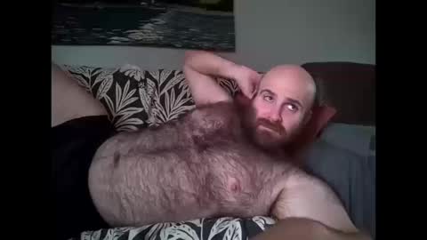 Snapshot of hairiestbear chatting on October 2025 06:06:02 PM Hairiest Bear online show from October 2025 06:06:02 PM
