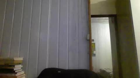 horny online show from January 2025 10:40:02 PM