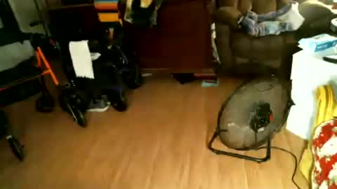 hairybear813 online show from July 2026 02:51:02 AM