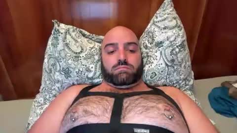 Snapshot of hairyleatherguy chatting on August 2026 06:44:02 PM Hairy Guy online show from August 2026 06:44:02 PM