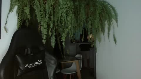 halan online show from February 2025 06:47:02 AM