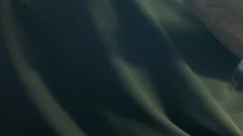 Snapshot of hamhead71 chatting on December 2024 06:20:02 PM hamhead71 online show from December 2024 06:20:02 PM