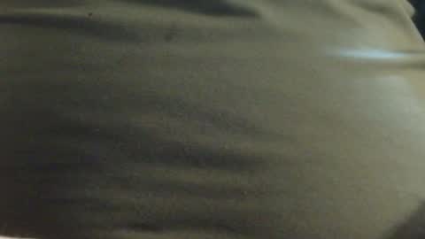 Snapshot of hamhead71 chatting on January 2025 12:52:01 PM hamhead71 online show from January 2025 12:52:01 PM