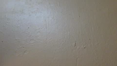 Snapshot of hamhead71 chatting on January 2025 06:52:01 PM hamhead71 online show from January 2025 06:52:01 PM