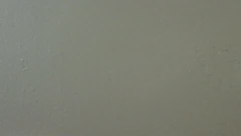 Snapshot of hamhead71 chatting on February 2025 05:41:01 AM hamhead71 online show from February 2025 05:41:01 AM