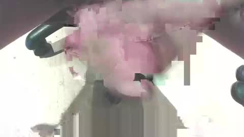 Snapshot of hammerhard1 chatting on February 2026 12:40:02 AM hammerhard1 online show from February 2026 12:40:02 AM