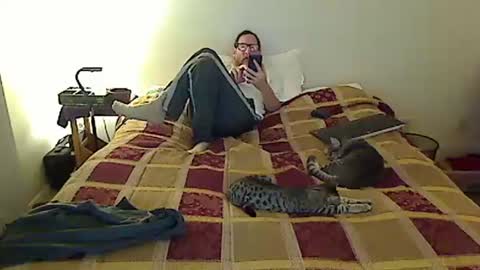 hammerthatthang73 online show from November 2025 09:09:02 AM