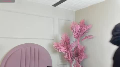 Snapshot of hanaahquinn chatting on December 2025 12:43:02 PM hanaahquinn online show from December 2025 12:43:02 PM