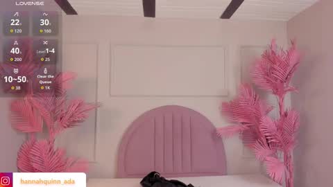 Snapshot of hanaahquinn chatting on December 2025 11:37:01 AM hanaahquinn online show from December 2025 11:37:01 AM