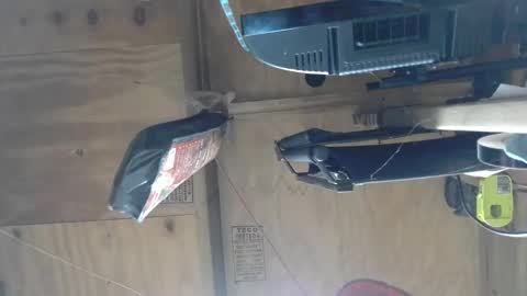 naked man online show from December 2024 05:39:02 AM