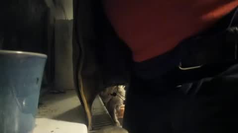 Snapshot of handncocknocum chatting on December 2024 05:22:02 PM handncocknocum online show from December 2024 05:22:02 PM