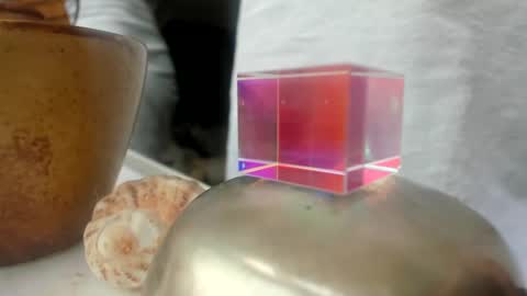 handncocknocum online show from December 2024 01:54:02 PM