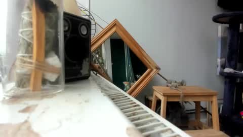 Snapshot of handncocknocum chatting on February 2025 09:06:02 AM handncocknocum online show from February 2025 09:06:02 AM