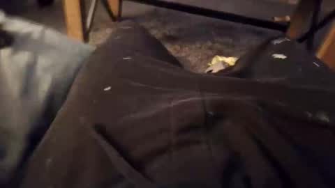 Snapshot of handylong88 chatting on November 2025 05:51:02 AM handylong88 online show from November 2025 05:51:02 AM