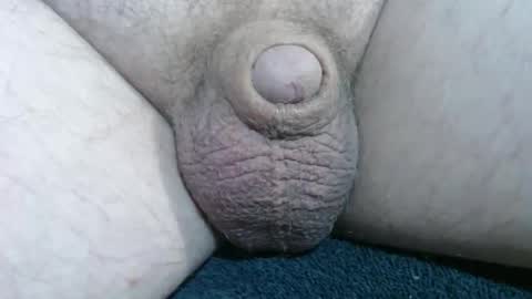 Handyman online show from December 2025 02:11:01 PM