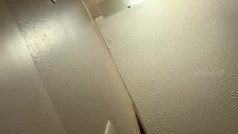 meatwad online show from December 2024 06:14:01 PM