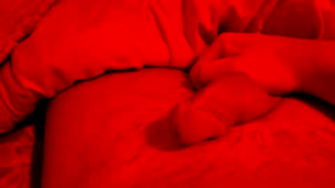 Small things matters online show from March 2026 07:21:02 PM