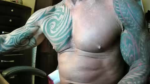 hardbody205a online show from February 2026 10:30:01 PM