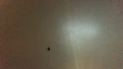 For You online show from December 2024 08:41:01 AM