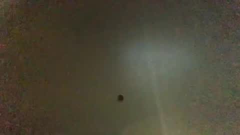 For You online show from January 2025 02:56:01 AM