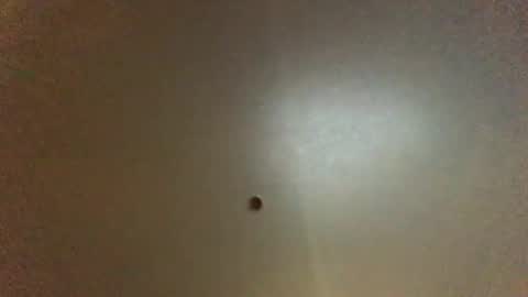 For You online show from October 2025 12:05:02 AM