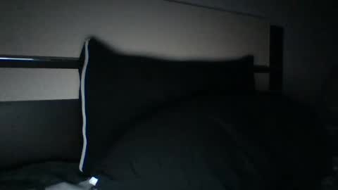 Snapshot of hardplay4114 chatting on February 2025 03:41:02 PM SIR HARD online show from February 2025 03:41:02 PM