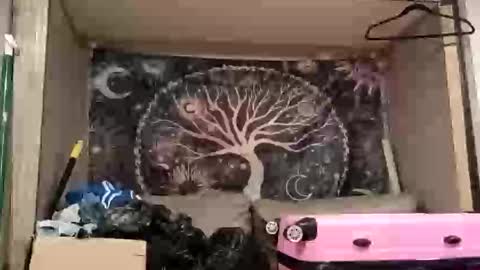 Snapshot of harlleymiller673 chatting on October 2025 03:20:02 AM harlleymiller673 online show from October 2025 03:20:02 AM