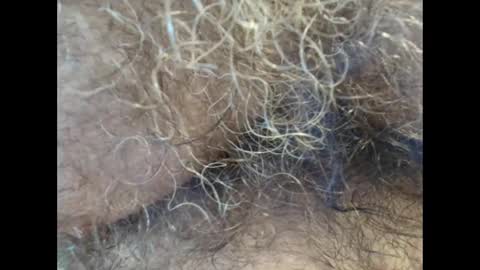 harry_banana online show from September 2025 01:11:02 PM