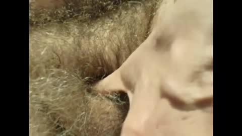 harry_banana online show from November 2025 03:27:02 PM