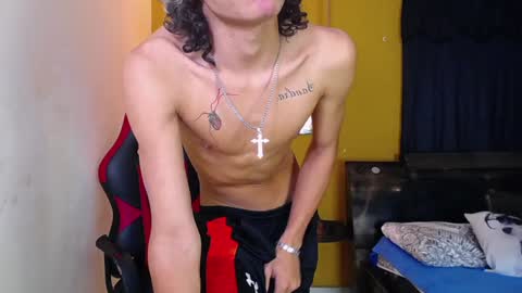 Snapshot of harry_jhonsonn chatting on December 2024 07:29:02 AM Harry online show from December 2024 07:29:02 AM