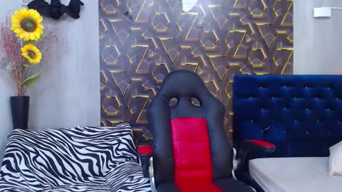 Snapshot of harry_jhonsonn chatting on November 2025 08:29:01 PM Harry online show from November 2025 08:29:01 PM