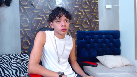 Snapshot of harry_jhonsonn chatting on November 2025 11:05:01 PM Harry online show from November 2025 11:05:01 PM